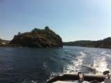 Gjøva
